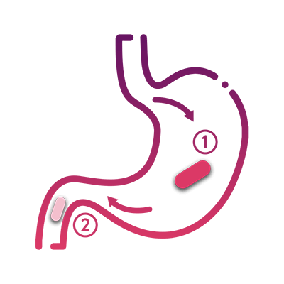 Stomach icon with Iberet tablet inside